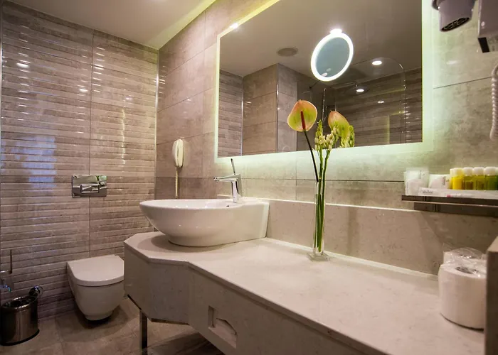 伊斯坦布尔里士满酒店 4*