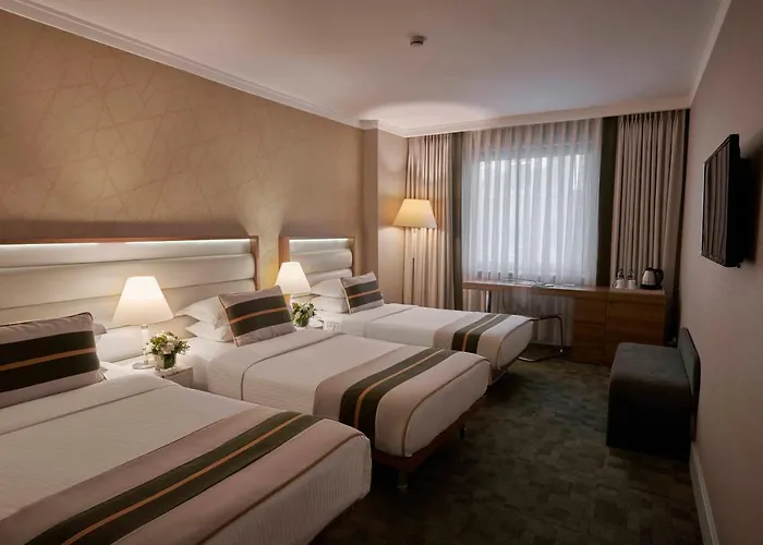 伊斯坦布尔里士满酒店 酒店 4*